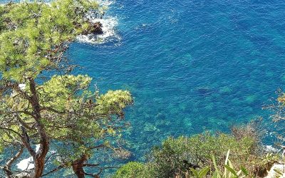 The 10 most beautiful hidden beaches of the Costa Brava you must visit